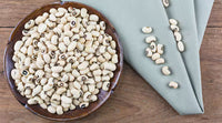 White Kidney Bean Extract